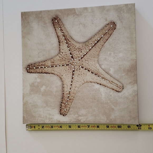 Lepore Wall Decor Lepore Coastal Collection